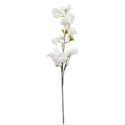 6PL0171W-rozkvitnuta-vetvicka-biela