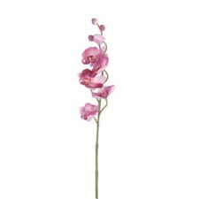 6PL0122F-orchidea-umely-kvet