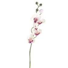 6PL0122LP-orchidea-umely-kvet