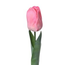 6pl0236-tulipan-50-cm-doplnky-do-domu-clayre-eef