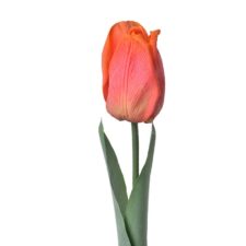 6pl0237-tulipan-50-cm-clayre-eef-doplnky-do-domu